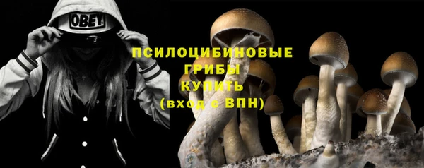 ALPHA PVP Медногорск