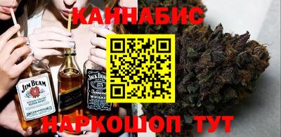 крисы Абакан
