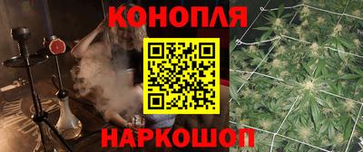 МДПВ Заволжье