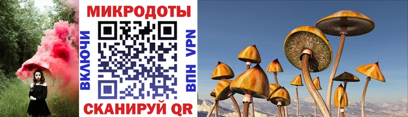 Псилоцибиновые грибы ЛСД  купить закладку  Набережные Челны 