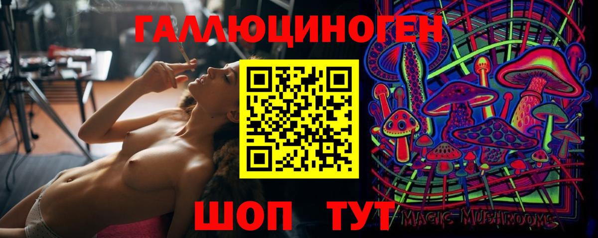 A PVP Набережные Челны