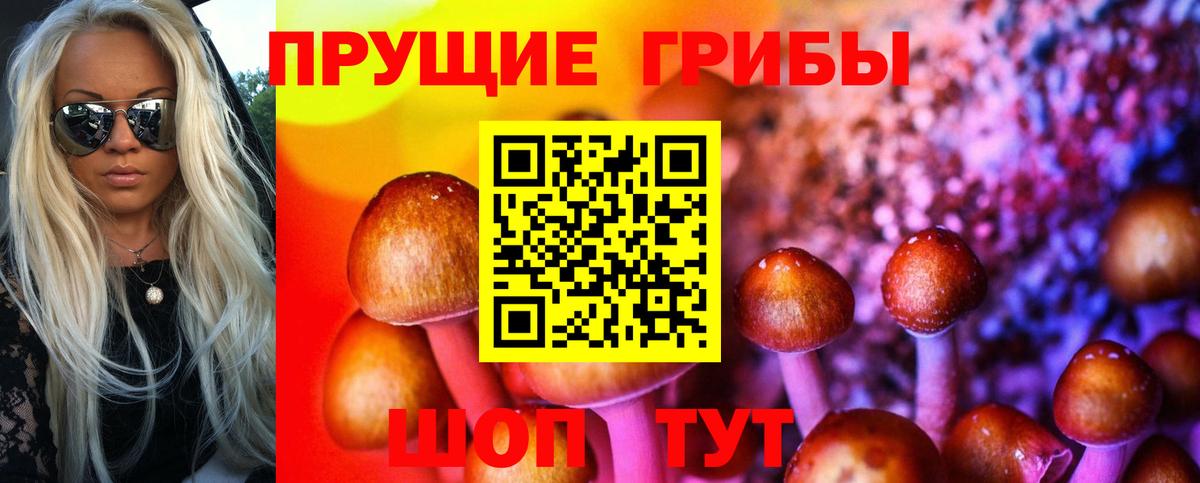 Псилоцибиновые грибы Psilocybine cubensis Набережные Челны