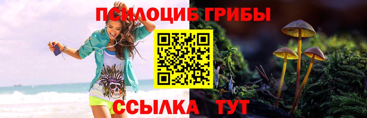 Галлюциногенные грибы Magic Shrooms  Вход с VPN  Набережные Челны  Псилоцибиновые грибы GOLDEN TEACHER 